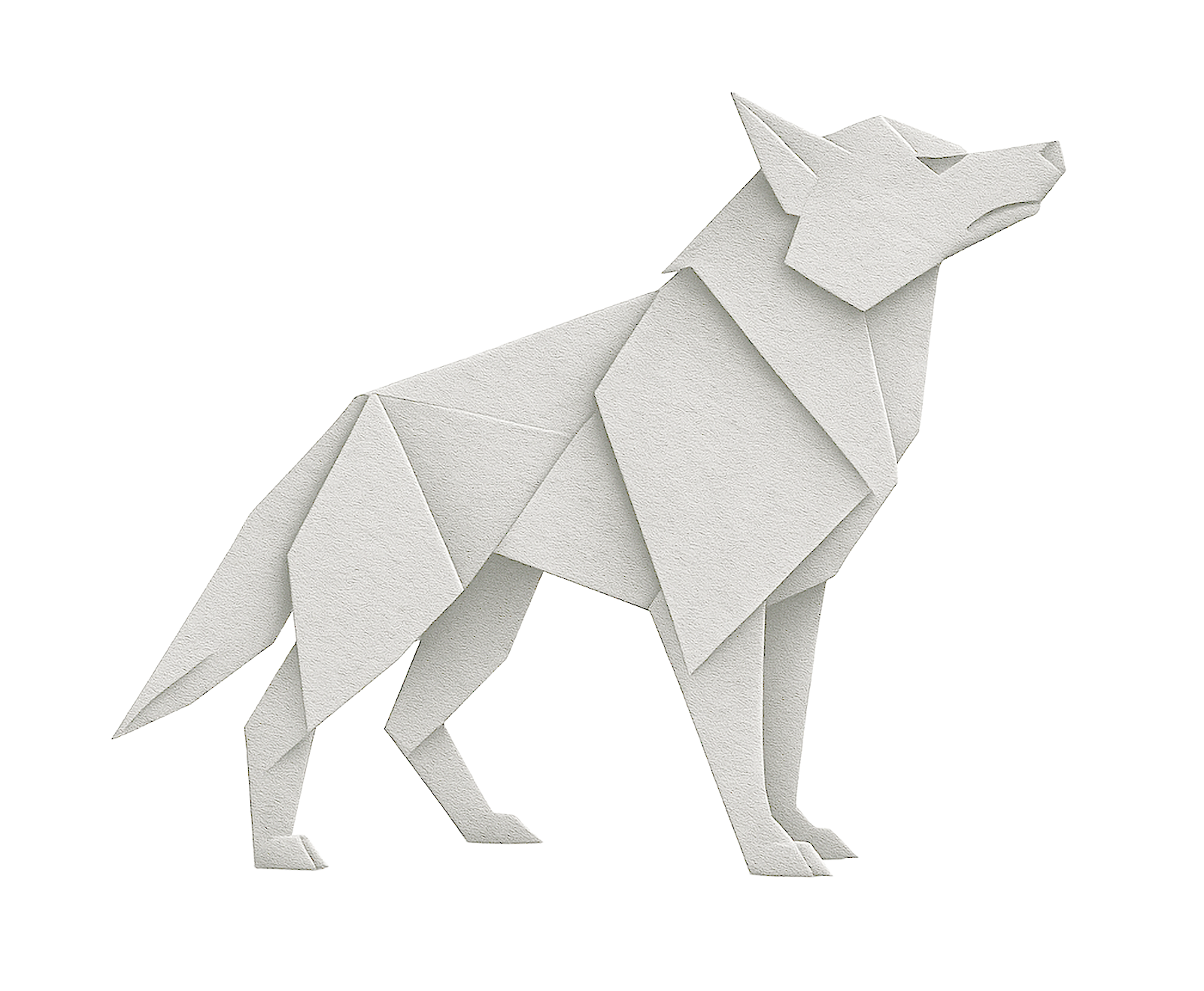 Origami Effect
